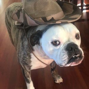 Meet your Posher, Gavin